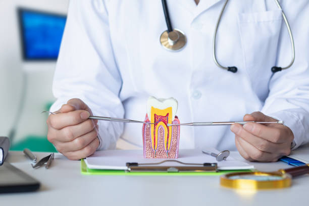 Best Emergency Dental Surgery in Pingree Grove, IL
